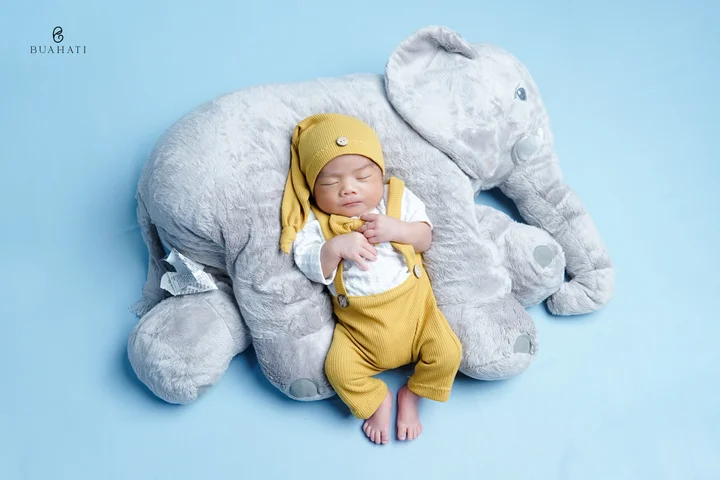 Portofolio Newborn Buahati 46
